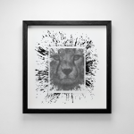 The Stillness Before Speed